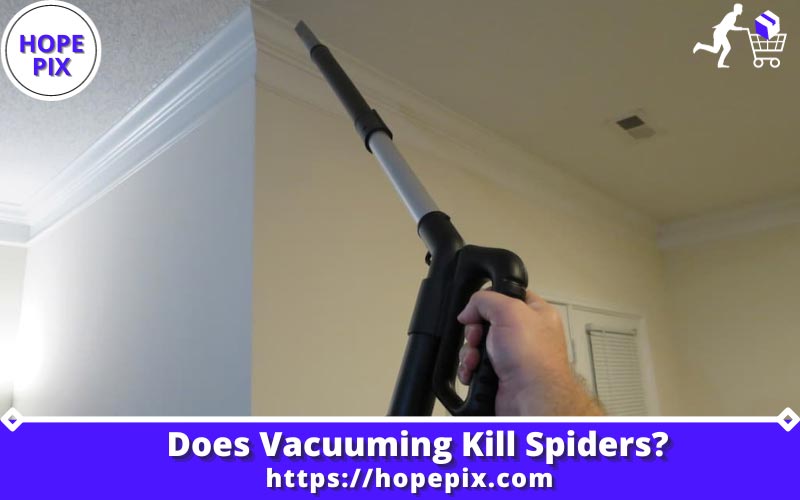 Does Vacuuming Kill Spiders
